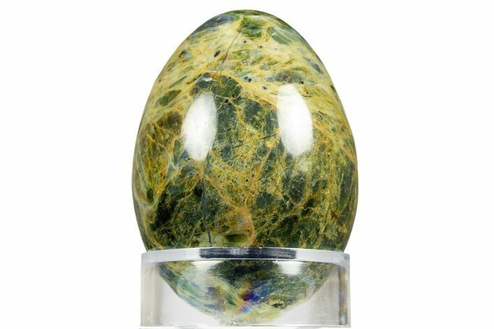 Polished Clear Creek Plasma Agate Egg - California #309103